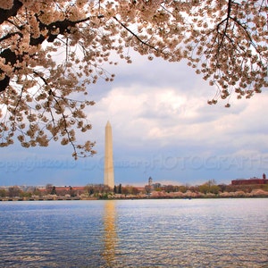 Washington Monument