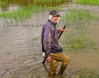 Hombre en un arrozal