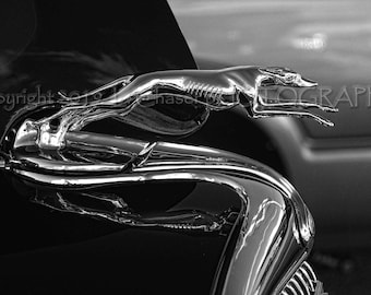 Greyhound hood ornament on prewar Ford cars