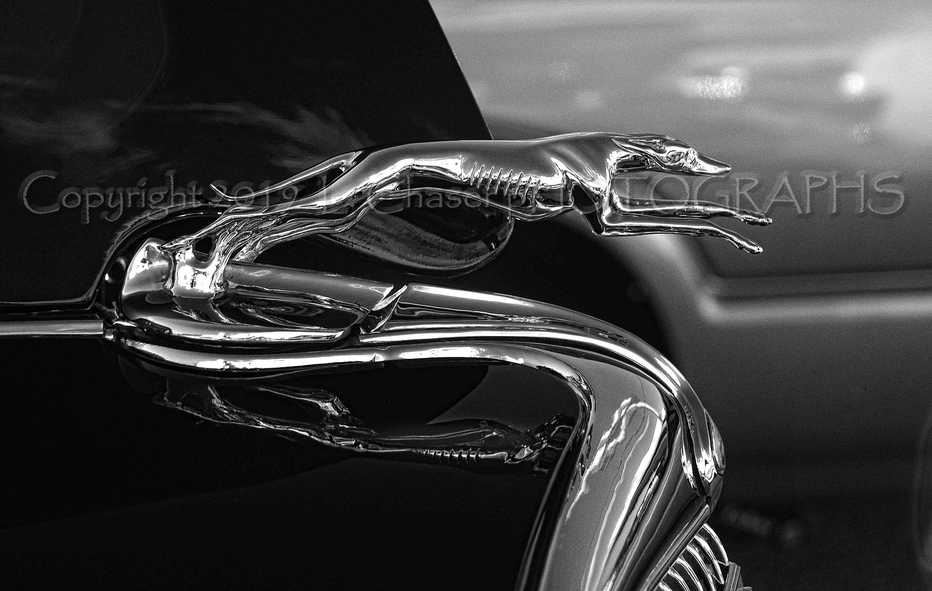 Car hood ornaments - Etsy 日本