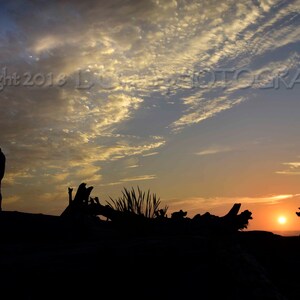 Sunset with Figure-Cape Meares