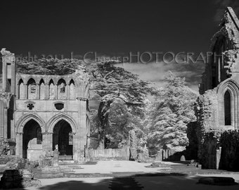 Dryburgh Abbey-Infrared