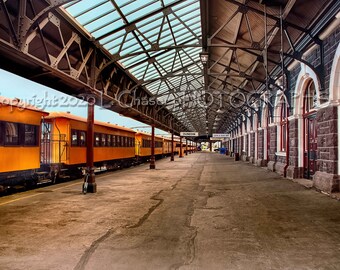 Dunedin Station I