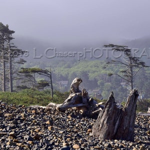 Cape Meares Oregon