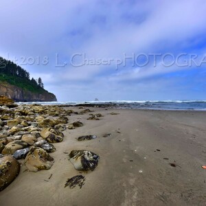 Cape Meares III Oregon