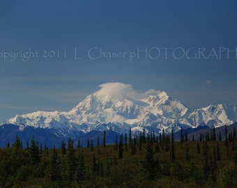 Denali Cloud