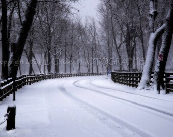 Snowy Road