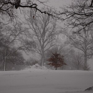 Alone  Byrd Park