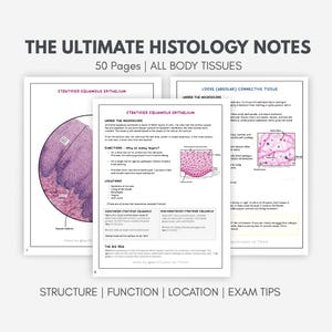 May include: A stack of three open histology study guides with detailed diagrams and text. The top page reads "The Ultimate Histology Notes" and "50 Pages | All Body Tissues". The bottom of the image reads "Structure | Function | Location | Exam Tips".