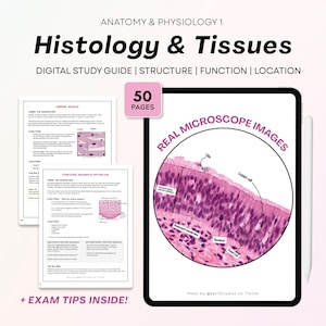 May include: A digital study guide titled Anatomy & Physiology 1: Histology & Tissues, featuring 50 pages of educational content. The guide includes text, diagrams, and real microscope images of tissue structures with labels like cilia and nucleus.