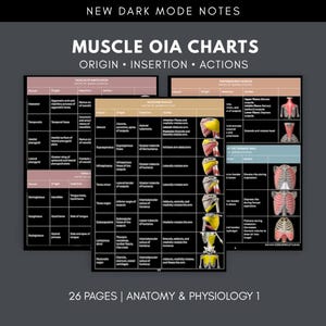 以下が含まれることがあります： NEW DARK MODE NOTES MUSCLE OIA CHARTS ORIGIN INSERTION ACTIONSと題された26ページのデジタル解剖学学習ガイド。ページは暗い背景で、筋肉の起始、停止、作用を詳細に記した白いテキストの表と図が掲載されています。
