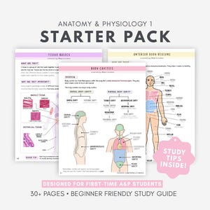 May include: Anatomy & Physiology 1 Starter Pack study guide featuring educational pages on tissue basics, body cavities, and anterior body regions. The pages include diagrams of the human body, anatomical labels, and a pink tag stating Study Tips Inside.