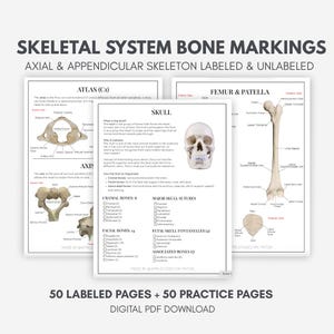 Puede incluir: Descarga digital en PDF de marcadores óseos del sistema esquelético. Incluye diagramas etiquetados y sin etiquetar del esqueleto axial y apendicular. Presenta diagramas del atlas, axis, cráneo, fémur y rótula. Incluye 50 páginas etiquetadas y 50 páginas de práctica.