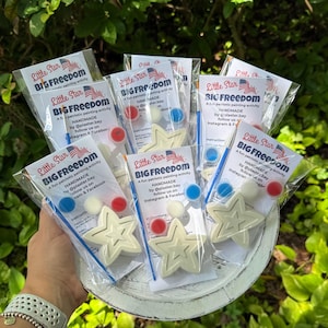 May include: A collection of star-shaped plaster painting kits, each packaged in a clear plastic bag. The kits include a star, paint, and a brush. The packaging reads "Little Star BIG FREEDOM" with patriotic colors and text.