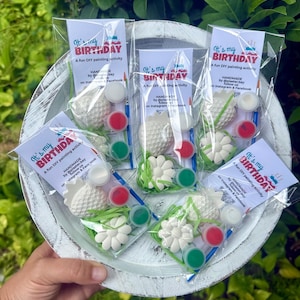 May include: Five clear plastic bags containing DIY painting activity kits. Each kit includes a white plaster strawberry and flower shape, a small paintbrush, and three small paint pots in white, red, and green, with a card labeled It's my BIRTHDAY.