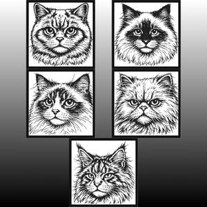 Bundle - 5 monochrome cross stitch patterns of cats - Ragdoll, Persian, Maine Coon... - ZIP file containing 5 PDF files