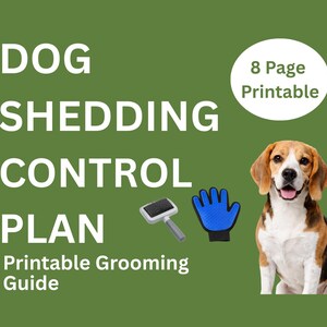 Plan imprimible para controlar la muda de pelo de tu perro / Guía de cuidados en PDF / Rutina antimudanza / Tabla de cuidados del pelaje / Seguimiento semanal