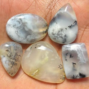 May include: Five polished dendritic agate gemstones with smooth, rounded surfaces. The stones feature translucent white and pale yellow bases with intricate, dark, fern-like inclusions scattered throughout the various oval, pear, and rectangular shapes.