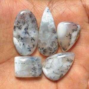 May include: Five polished dendritic agate gemstones with smooth, rounded surfaces. Each stone features a translucent white base with intricate, dark, fern-like inclusions that branch out across the surface in various organic patterns and shapes.