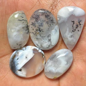 May include: Five polished dendritic agate gemstones with smooth, rounded surfaces. Each stone features a translucent white and milky base with distinct, dark, fern-like inclusions branching across the surface in various organic patterns.