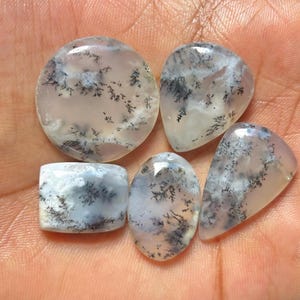May include: Five polished dendritic agate gemstones with translucent, milky white surfaces featuring intricate, dark, fern-like inclusions. The collection includes one circular, one rectangular, one oval, and two teardrop-shaped cabochon stones.