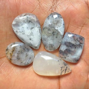 May include: Five polished dendritic agate gemstones with smooth, rounded surfaces. Each stone features a translucent to opaque white base with intricate, dark, fern-like inclusions branching throughout the mineral structure in various shapes.