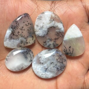 May include: Five polished dendritic agate cabochons with smooth, rounded surfaces. Each stone features a translucent to opaque white base with intricate, dark brown to black fern-like inclusions branching across the surface in unique patterns.