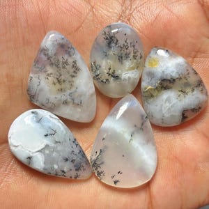 May include: Five polished dendritic agate cabochons with smooth, rounded surfaces. Each stone features a translucent, milky white base with intricate, dark, fern-like inclusions that branch out across the surface in unique, organic patterns.