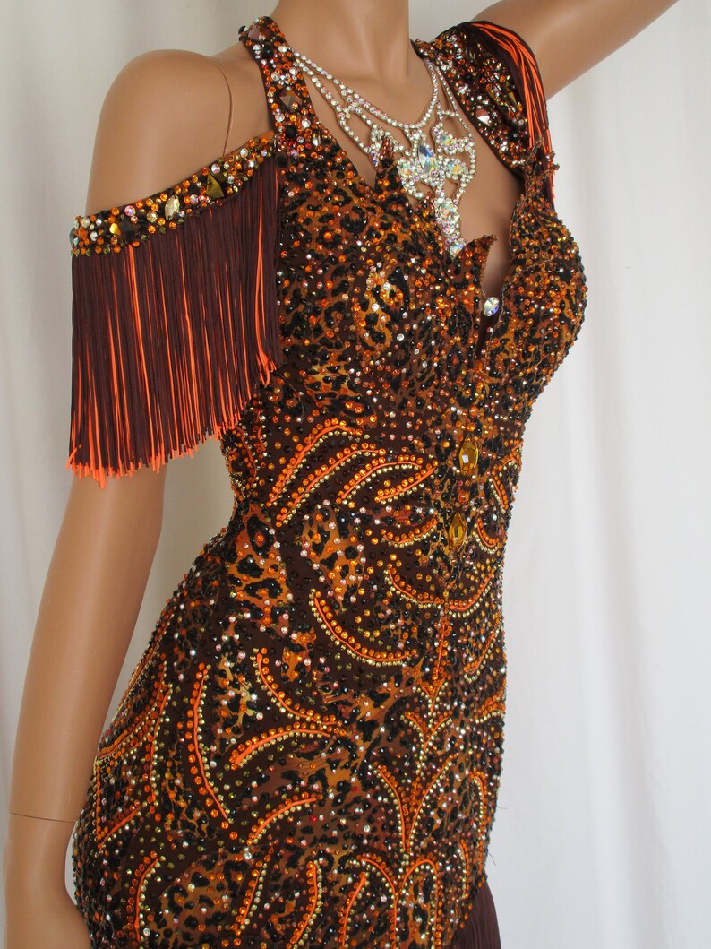 Brown and Orange Latin Dance Dress With Fringe Skirt and Cheetah