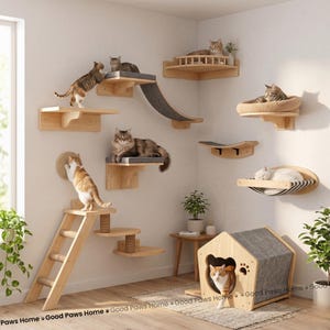 May include: A cat climbing wall system featuring wooden shelves, a ramp, and a cat house. Several cats are resting on the shelves and in the house. The system is mounted on a white wall.
