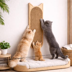 以下が含まれることがあります： 壁に取り付けられた、猫の頭の形をした木製の猫用爪とぎ。サイザル麻の爪とぎ面があります。3匹の猫が爪とぎと遊んでいます。手前には猫用ベッドがあります。猫の爪とぎと遊びのために設計されています。
