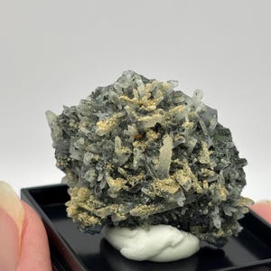 Hundtandskalcitkluster på galenamatris | Druzypyritmineralprov (Bulgarien)