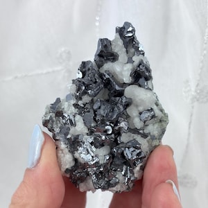 May include: A cluster of dark gray metallic crystals with a reflective surface, interspersed with white quartz. The mineral specimen is held in a hand with light blue nail polish, against a white background.