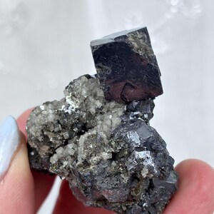 May include: A dark gray mineral specimen featuring a large, cubic crystal atop a cluster of smaller, crystalline structures. The specimen has a metallic sheen and is held in a hand against a soft, white background. The mineral is approximately 2 inches in length.