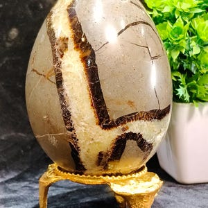 May include: A polished, egg-shaped stone with a tan and brown pattern, displayed on a small, ornate gold-colored stand. The stone has dark brown veining and is set against a dark background.
