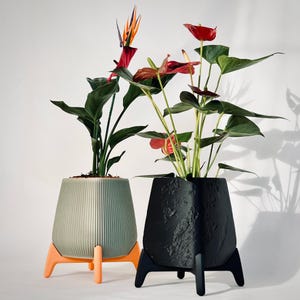 May include: Two contemporary plant pots. One is light green with a ribbed design on orange legs. The other is black with a textured surface on black legs. The plants have green leaves and red and orange flowers.