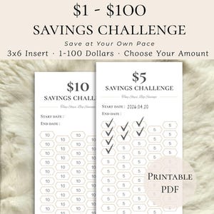 Puede incluir: Un bolígrafo blanco descansa junto a dos hojas imprimibles de desafío de ahorro. Las hojas están etiquetadas con "$10" y "$5" y presentan un diseño de panal para rastrear los ahorros. El texto dice "$1 - $100 Desafío de ahorro."