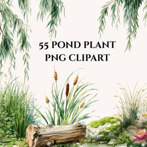 Op de afbeelding: Waterverfillustratie met een vijverlandschap met diverse waterplanten en bloemen. De afbeelding bevat lisdodden, waterlelies en weelderig groen gebladerte, met de tekst "55 POND PLANT PNG CLIPART" in zwart.