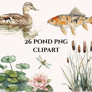 Pode incluir: Conjunto de cliparts em aquarela com um pato, carpa koi, libélula, nenúfares e juncos. O texto "26 POND PNG CLIPART" é exibido. A obra de arte tem uma paleta de cores suaves e naturais.