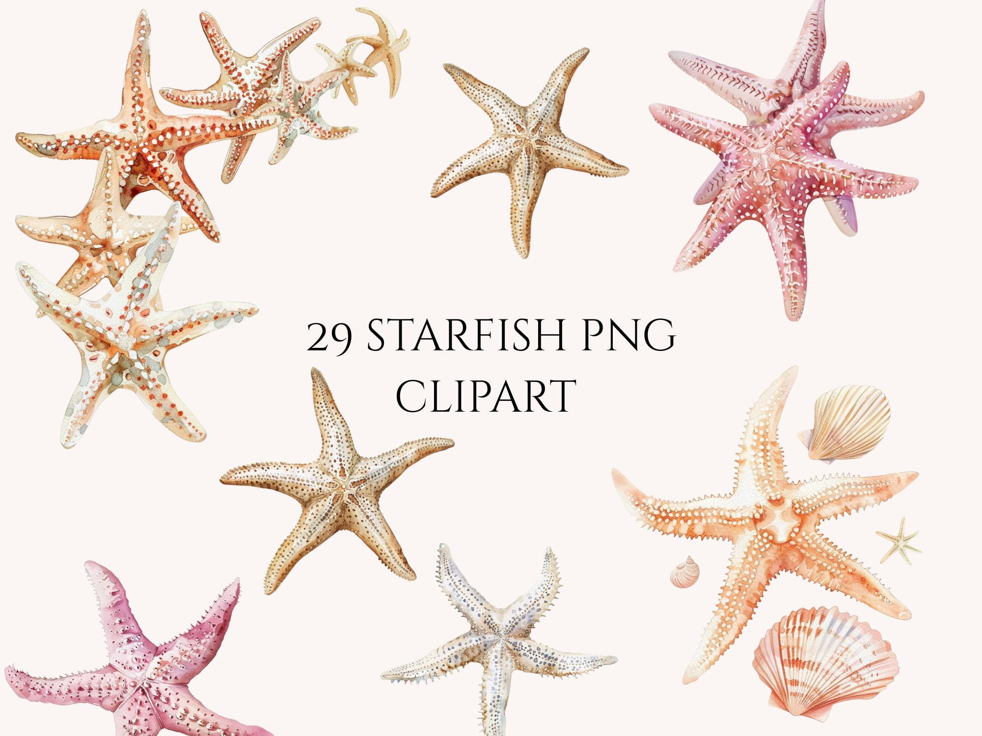 Watercolor Starfish Clipart Bundle, Coastal Sea Star Graphics (digital ...