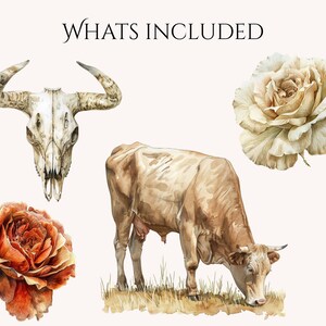 May include: Watercolor illustration featuring a cow, a bull skull, and two roses. The cow is light brown and grazing on grass. The skull is white with large horns. The roses are in shades of orange and cream.