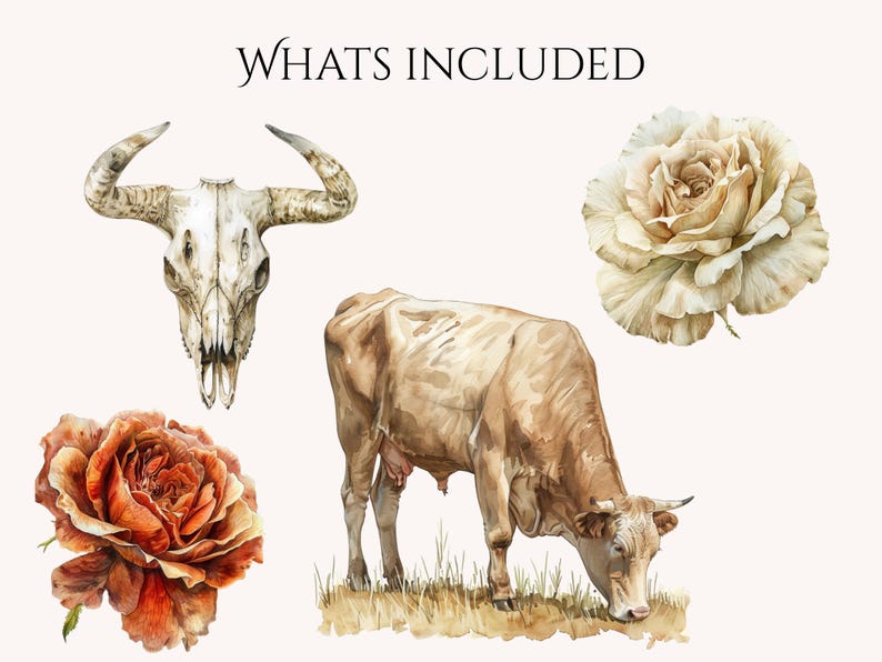May include: Watercolor illustration featuring a cow, a bull skull, and two roses. The cow is light brown and grazing on grass. The skull is white with large horns. The roses are in shades of orange and cream.