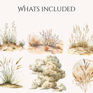 May include: Watercolor illustrations of desert plants and a cloud-like shape. The image includes various groupings of grasses and shrubs in shades of tan, brown, and green, set against a light background. Text at the top reads "WHATS INCLUDED".