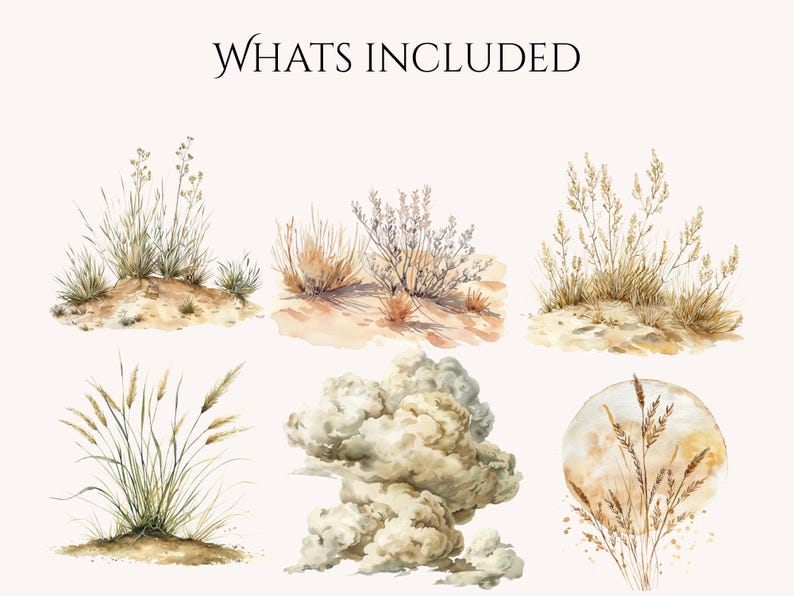 May include: Watercolor illustrations of desert plants and a cloud-like shape. The image includes various groupings of grasses and shrubs in shades of tan, brown, and green, set against a light background. Text at the top reads "WHATS INCLUDED".