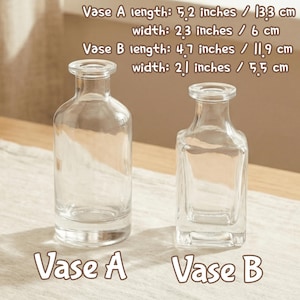 May include: Two clear glass vases, labeled "Vase A" and "Vase B". Vase A is 5.2 inches long and 2.3 inches wide. Vase B is 4.7 inches long and 2.1 inches wide. Both vases have a simple, elegant design.
