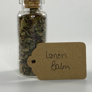 Small Herb Jars - Different Herbs