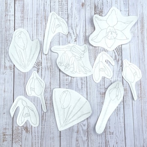 May include: A set of ten white paper cutouts of various flowers, including daffodils, snowdrops, and tulips. The cutouts are arranged on a white wooden background.