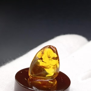 Puede incluir: Un espécimen de ámbar pulido, translúcido y de color amarillo dorado que presenta una pequeña inclusión de insecto oscuro atrapada en la resina. La pieza de ámbar tiene forma de gota y descansa sobre una base circular lisa.