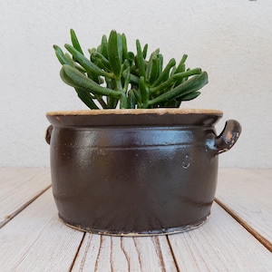 Puede incluir: Una planta suculenta en una maceta de cerámica marrón con un borde blanco. La maceta tiene dos asas a los lados. La maceta está sobre una superficie de madera blanca.