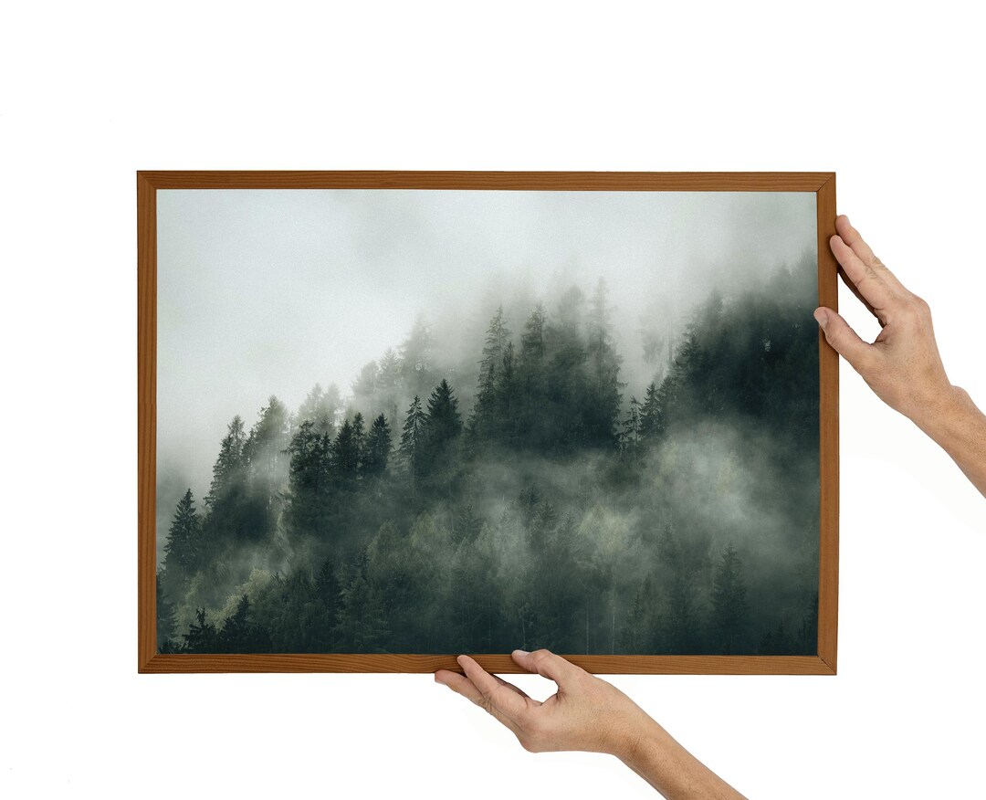 Foggy Forest With Misty Pine Trees Canvas Wall Art – Atmospheric ...